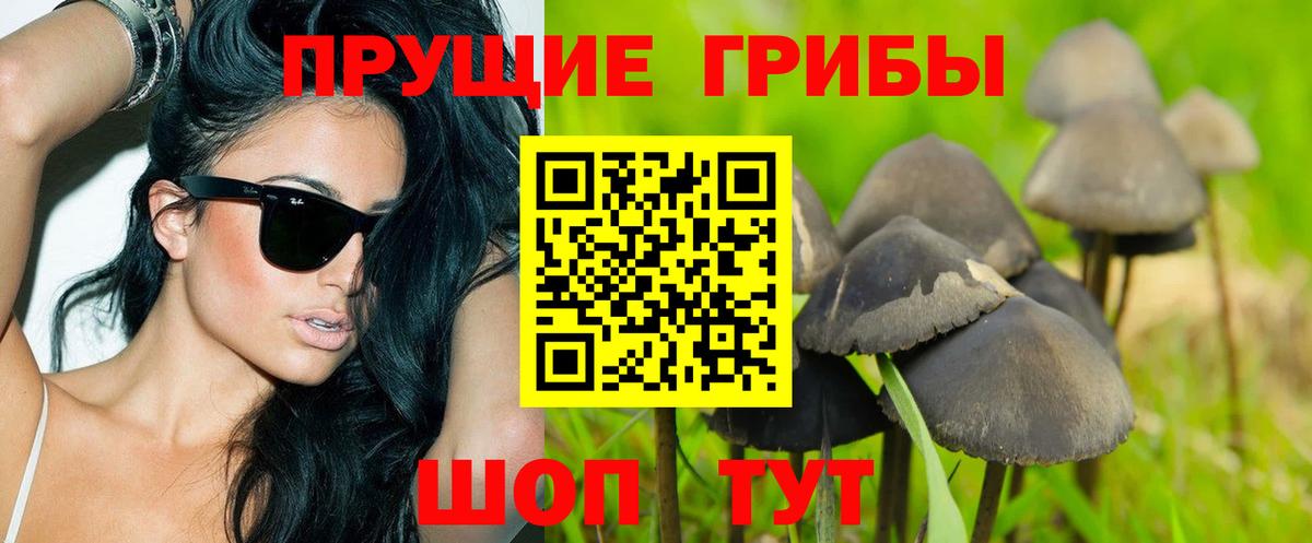 Галлюциногенные грибы Psilocybe Люберцы