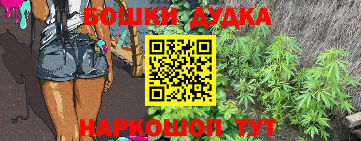 Конопля сатива Люберцы